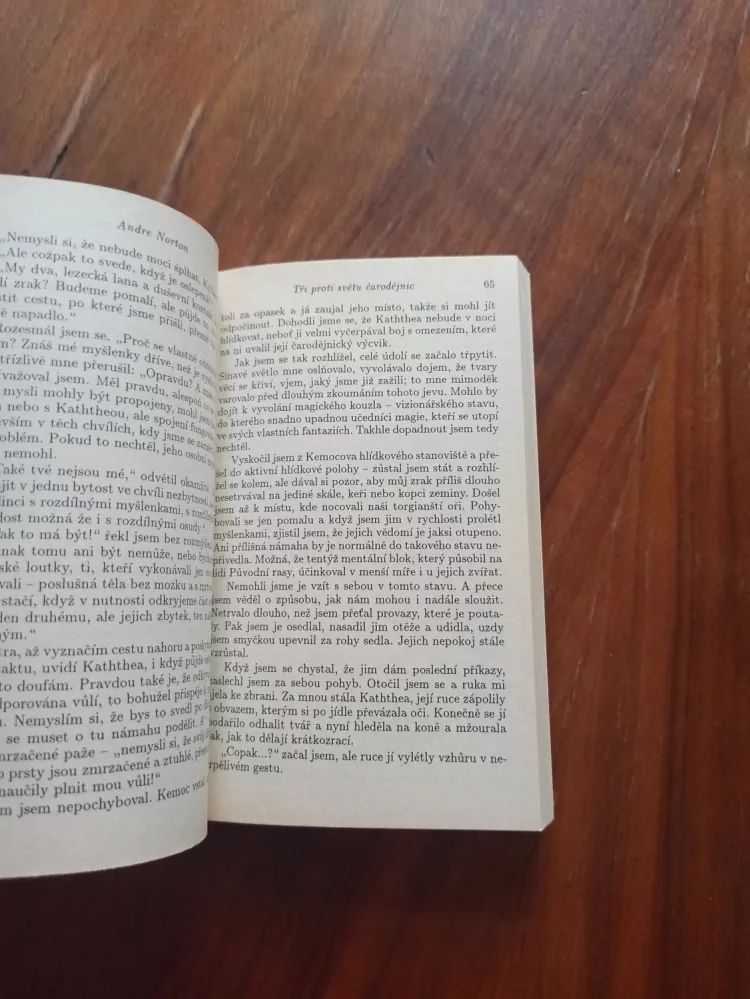 ANDRE NORTON - Tři proti světu čarodějnic - Svět čarodějnic 3. 