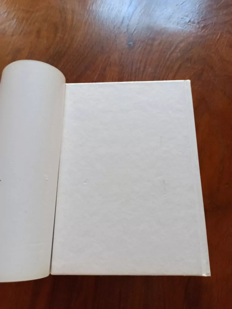 NIKOLAJ NIKOLAJEVIČ JAKOVLEV - Franklin D. Roosevelt