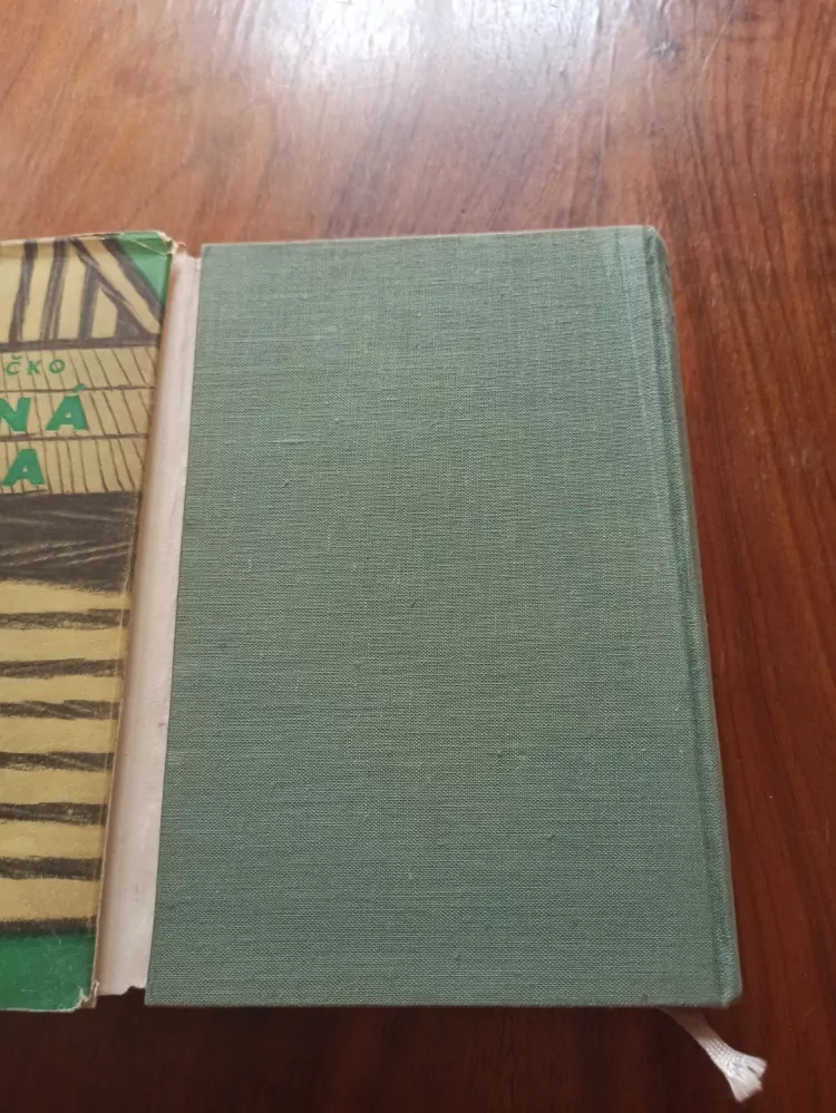 FRANTIŠEK HEČKO - Dřevěná dědina