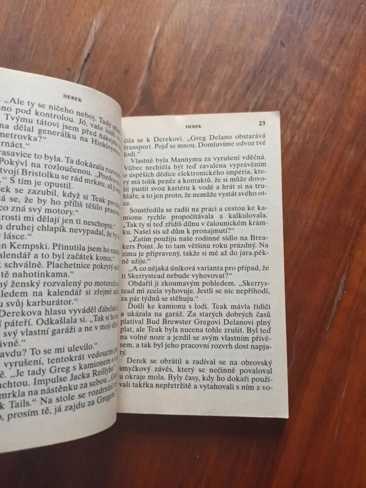 LESLIE DAVIS GUCCIONE - Derek