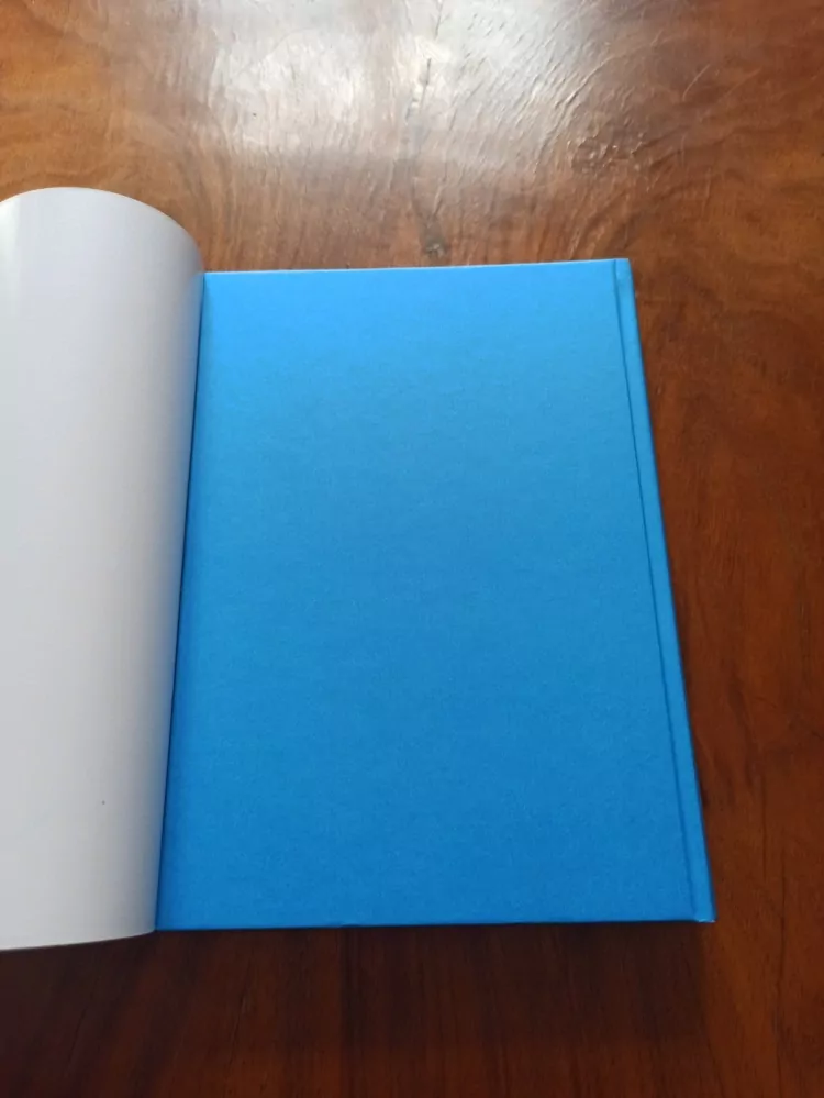 BERNHARD HENNEN - Zima elfů I.