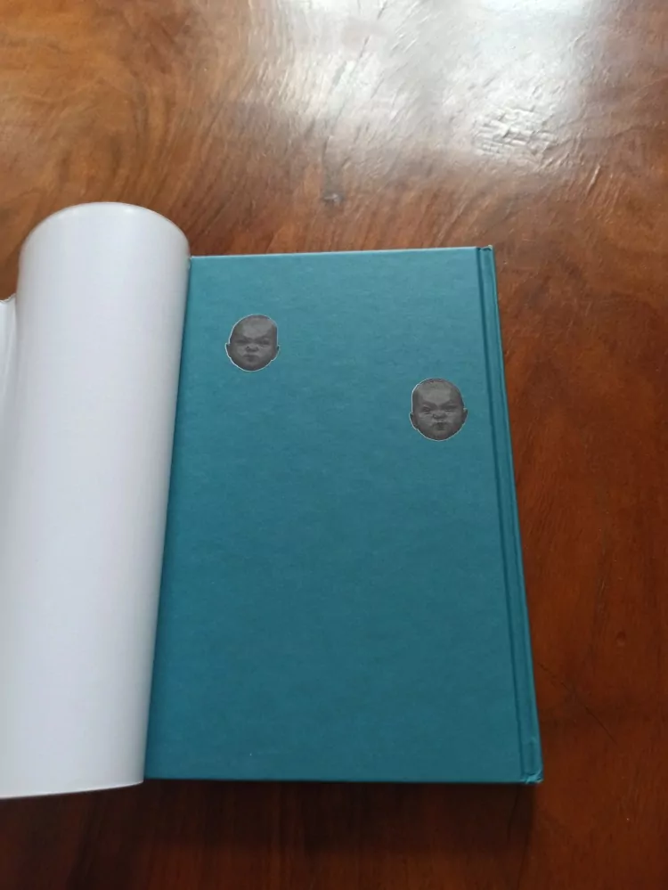 CORINNE MAIER - 40 důvodů, proč nemít děti