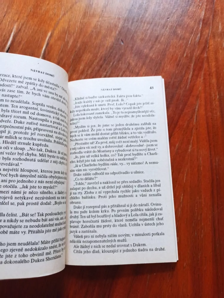 JACKIE MERRITT - Návrat domů