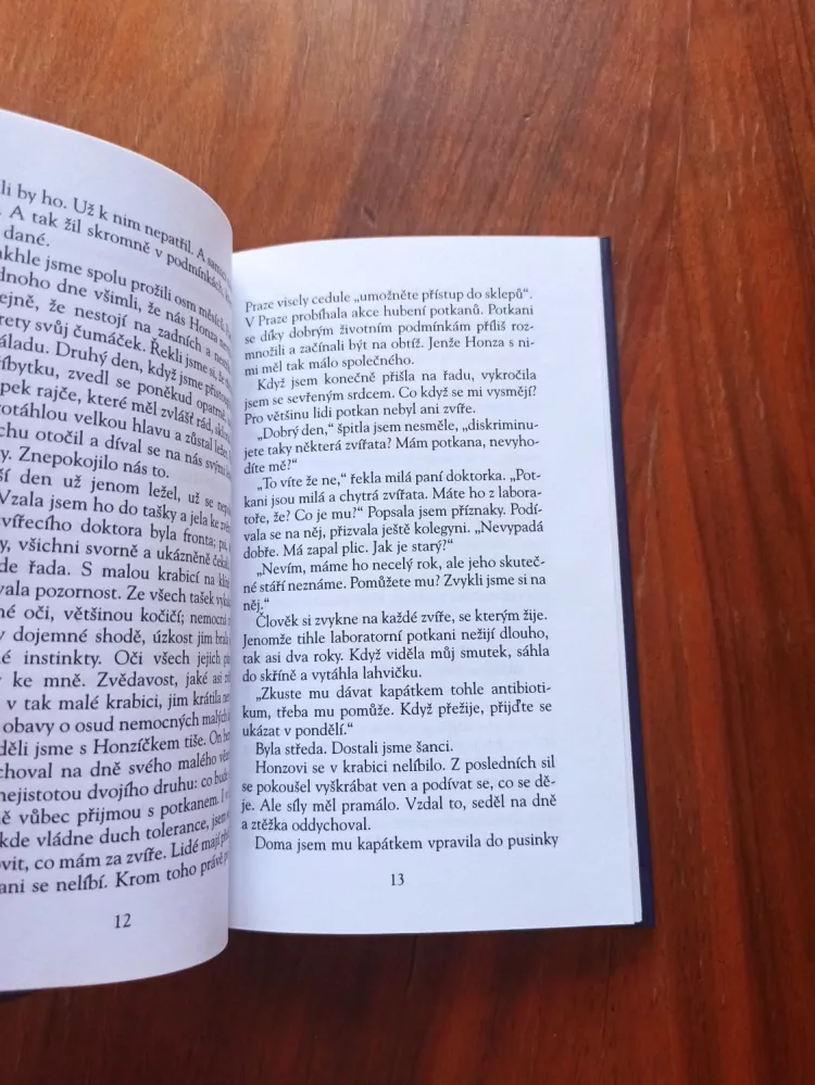 TAŤANA FISCHEROVÁ - Bílý den…a jiné příběhy