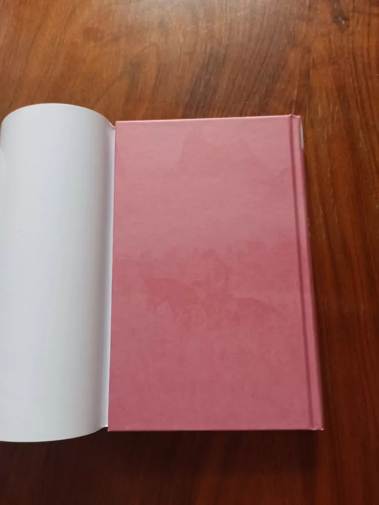 LOUIS L'AMOUR - Léčka