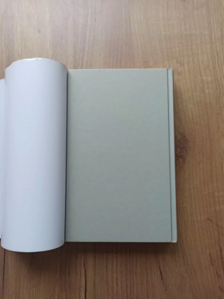 TAMI HOAG - Prach prachu