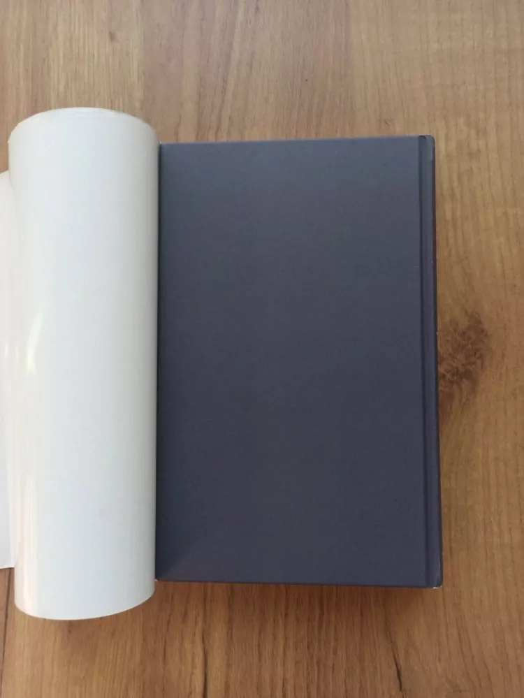 DIANE CHAMBERLAIN - Strom odvahy