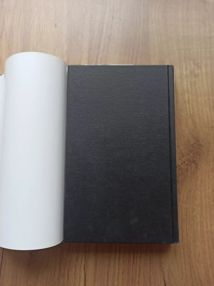 MADELEINE BRENT - Nemravná bohyně