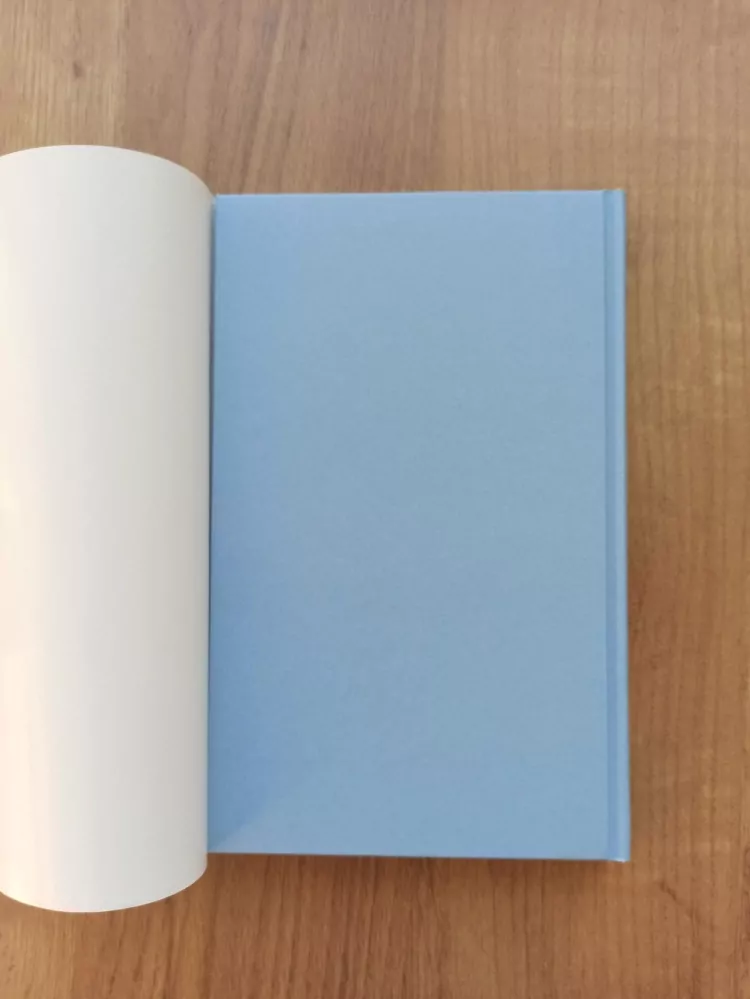 SANDRA BROWN - Adamův pád