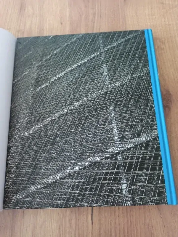 RADOMÍRA SEDLÁKOVÁ, PAVEL FRIČ - 20. století české architektury
