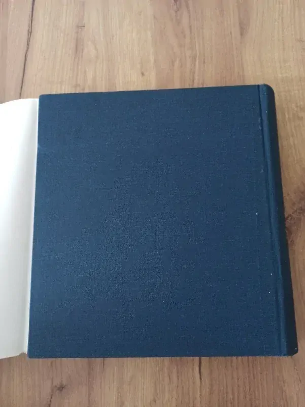 DĚJINY ČESKÉHO DIVADLA III.