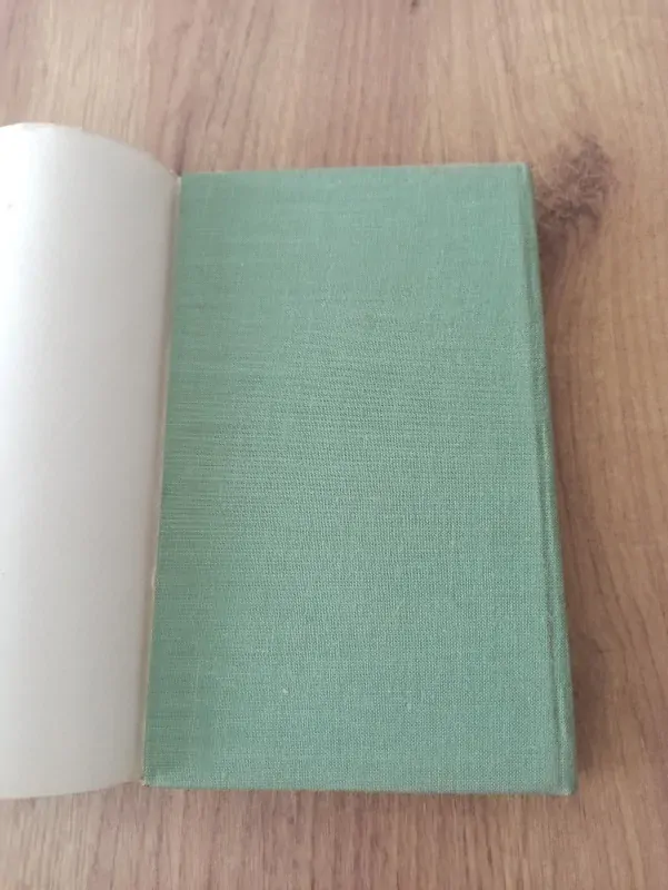 ROSS MACDONALD - Honba za Phoebe