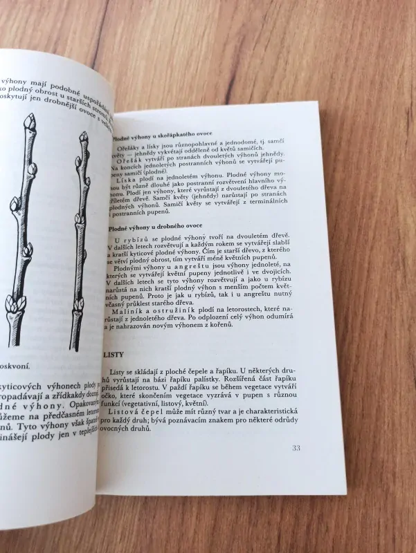 FRANTIŠEK KYNCL - Řez ovocných dřevin