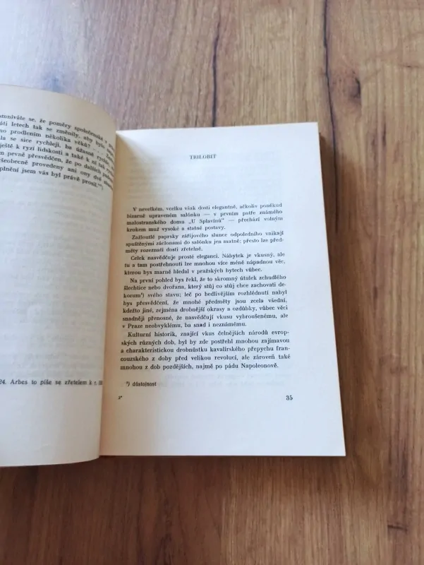 JAKUB ARBES - Syn předměstí