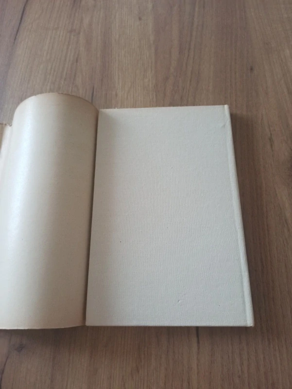 DINO BUZZANTI - Velký portrét