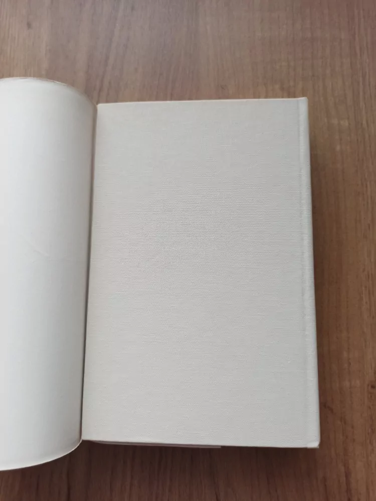 MARIANNE BRUNSOVÁ - Devátý syn Víta Stosse