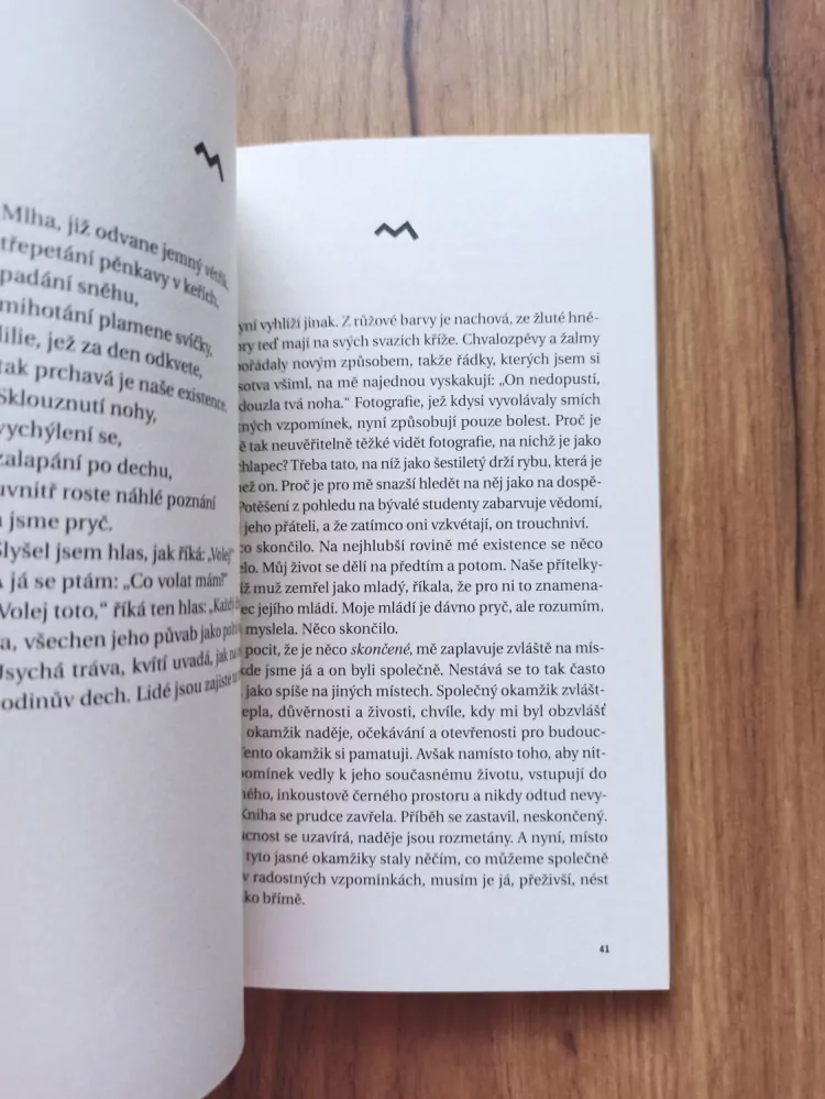 NICHOLAS WOLTERSTORFF - Nářek pro syna