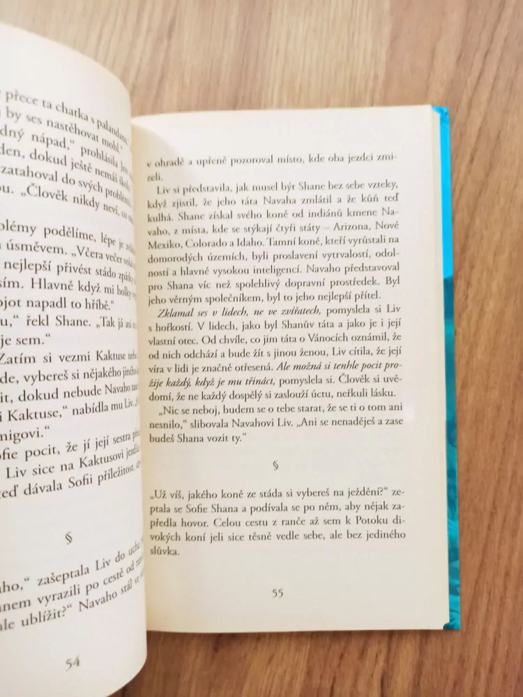 SHARON SIAMON - Potok divokých koní 2. - Kaňon kojotů