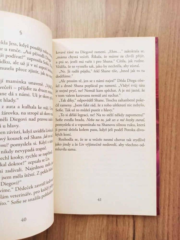 SHARON SIAMON - Potok divokých koní 1. - Záhadný hřebec