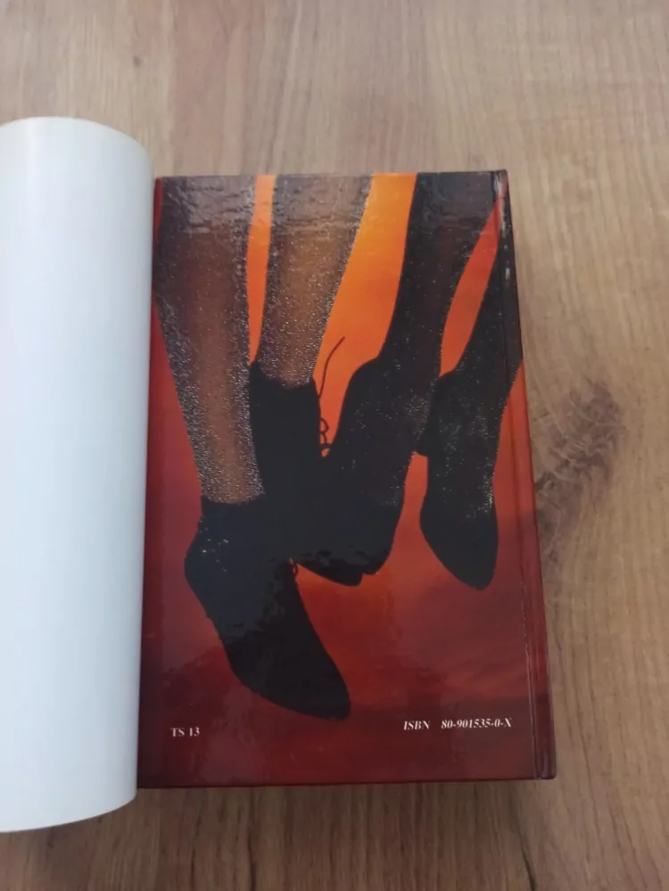 EILEEN GOUDGE - Oddané sestry