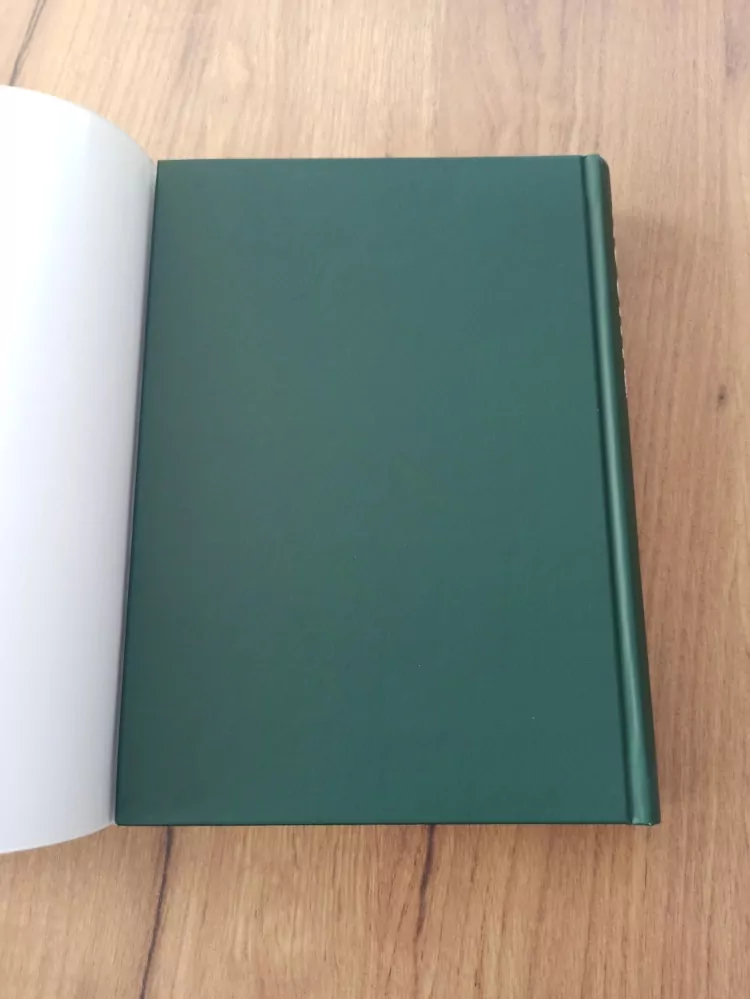 DEAN KOONTZ - Intenzita