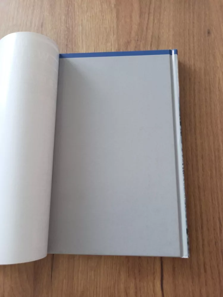 MIKA WALTARI - Vlak osamělého muže