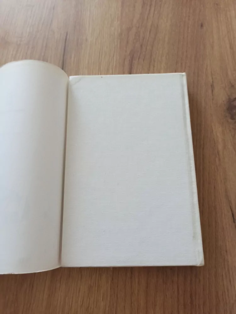 RAJKO DOLEČEK - Na cestách