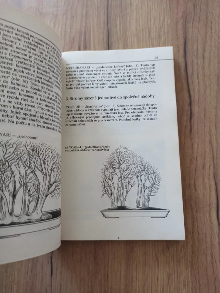 MILOSLAV RYŠÁN - Bonsaj