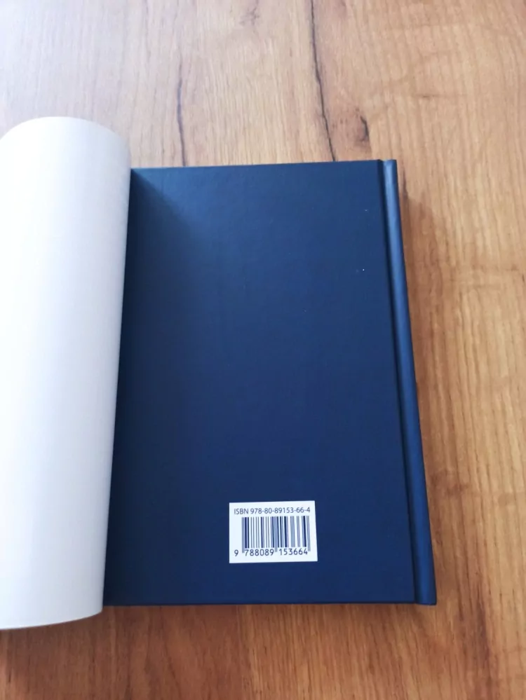 MICHAEL PALMER - Druhý názor