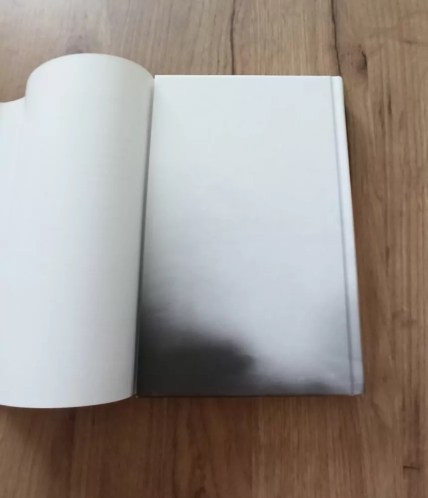 HOLLIE OVERTON - Za zdmi