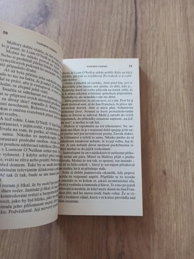 JUDITH ARNOLD - Tajemný cizinec