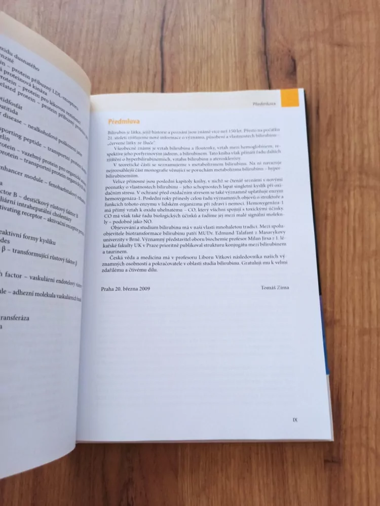 LIBOR VÍTEK - Bilirubin a interní choroby