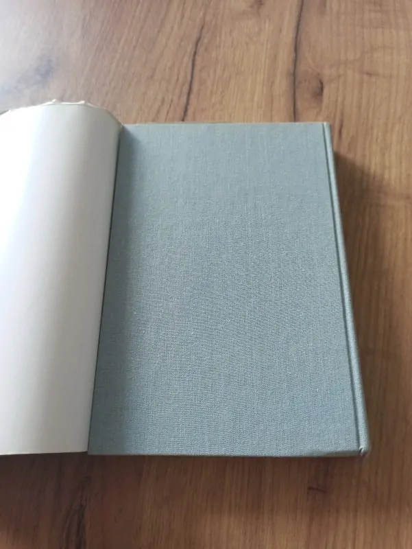 ALEXANDR BORISOVIČ ČAKOVSKIJ - Nedokončený portrét – Poslední dny F.D. Roosvelta