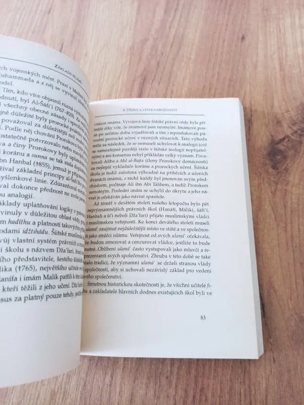 ŠAJCH FADHLALLA HAERI - Základy islámu - tradice, historie, vývoj, současnost