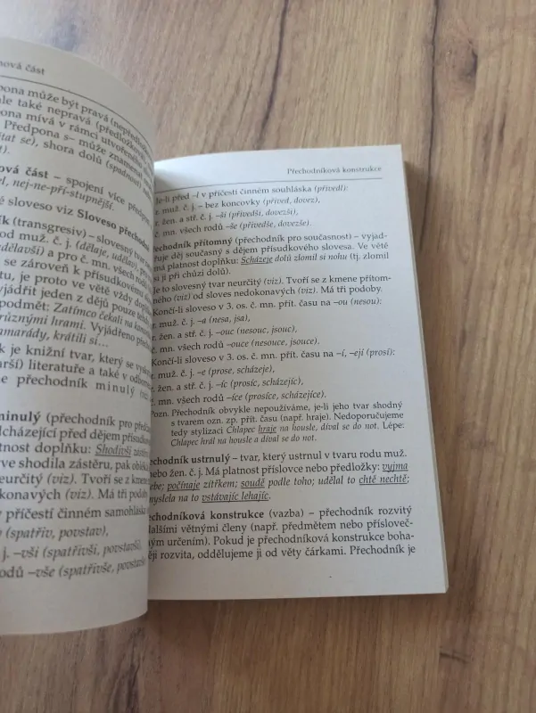 JANA PAVLOVSKÁ - Znáš pojmy z mluvnice češtiny?