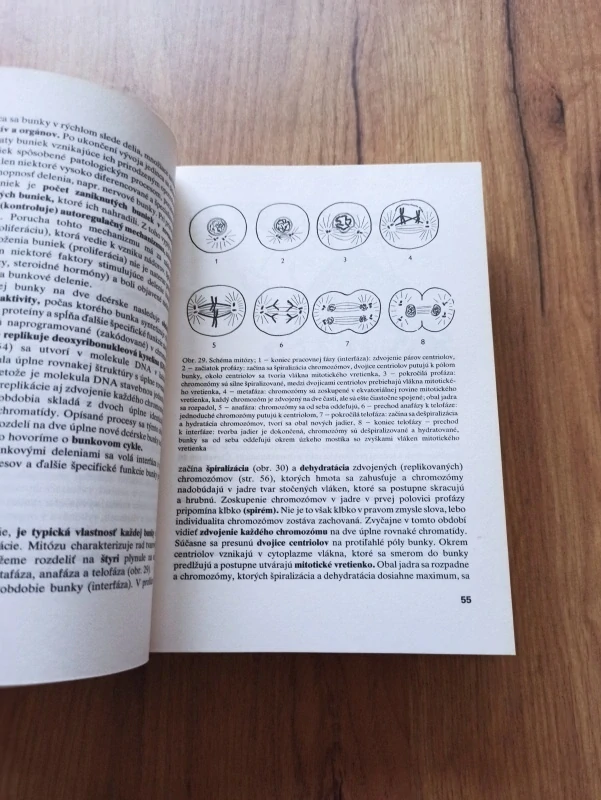 ZDENĚK VACEK - Histológia a histologická technika