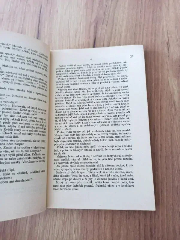 ANNA SEDLMAYER - 4. detektivky – III. Déšť ustal k večeru
