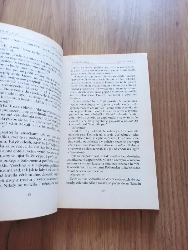 RUTH RENDELL - Kdo si počká...