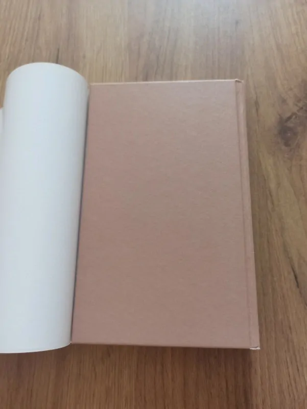 DANIELLE STEEL - Cizí žena