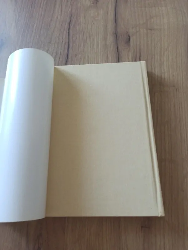 RAY RIGBY - Pahorek z písku