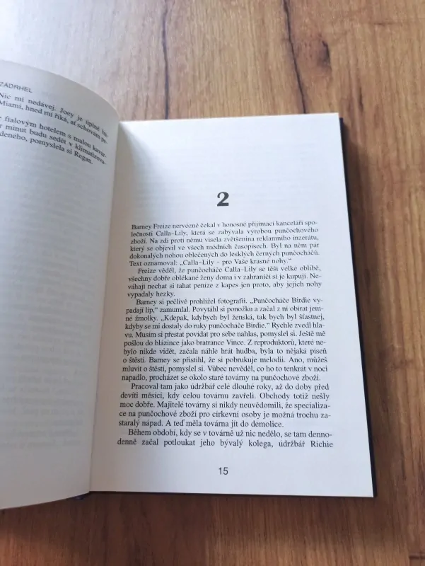 CAROL HIGGINS CLARK - Zádrhel