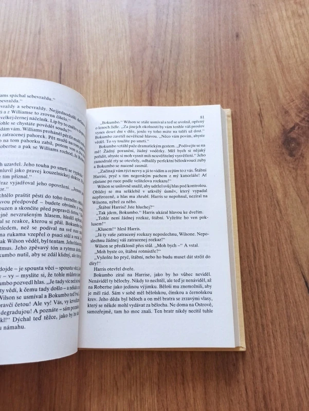 RAY RIGBY - Pahorek z písku