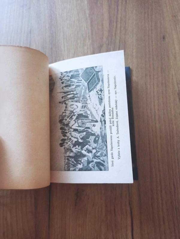 ALEXANDRE DUMAS - Napoleon Bonaparte: Román jeho života