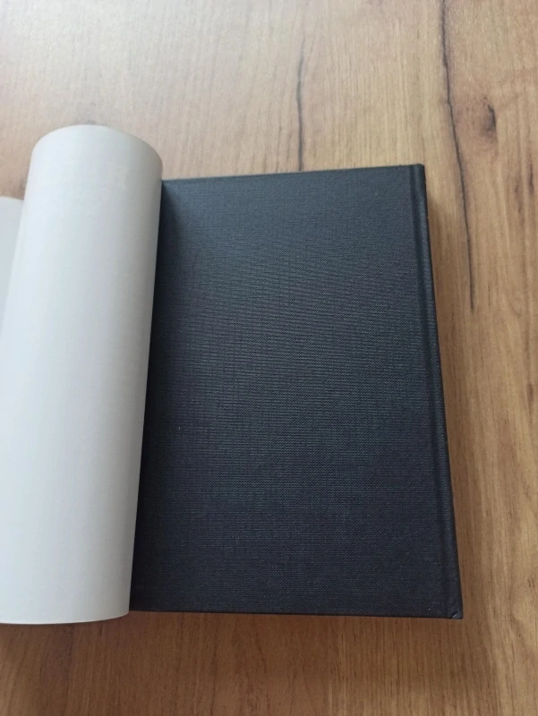 SHEILA HAILEY - Vzala jsem si bestsellera