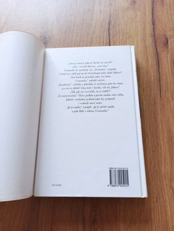 SUSAN LEWIS - Letní šílenství