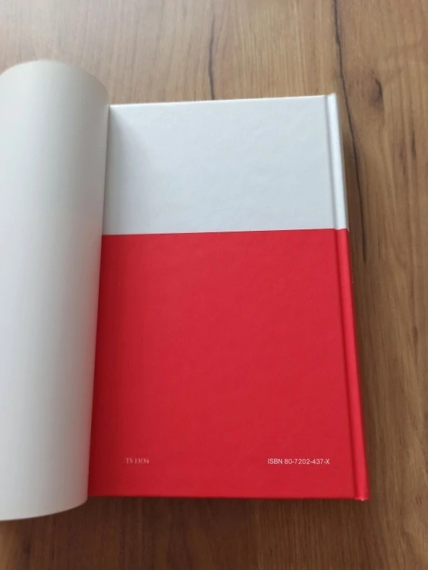 DANIELLE STEEL - Konec léta