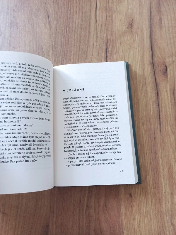JHUMPA LAHIRI - Kde zrovna jsem