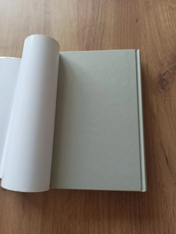 TAMI HOAG - Prach prachu