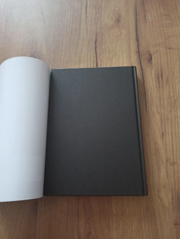 MAURIZIO DE GIOVANNI - Bolest: Zima komisaře Ricciardiho