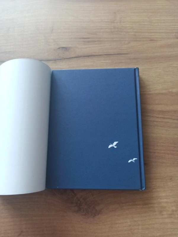 RICHARD BACH - Jonathan Livingston Racek